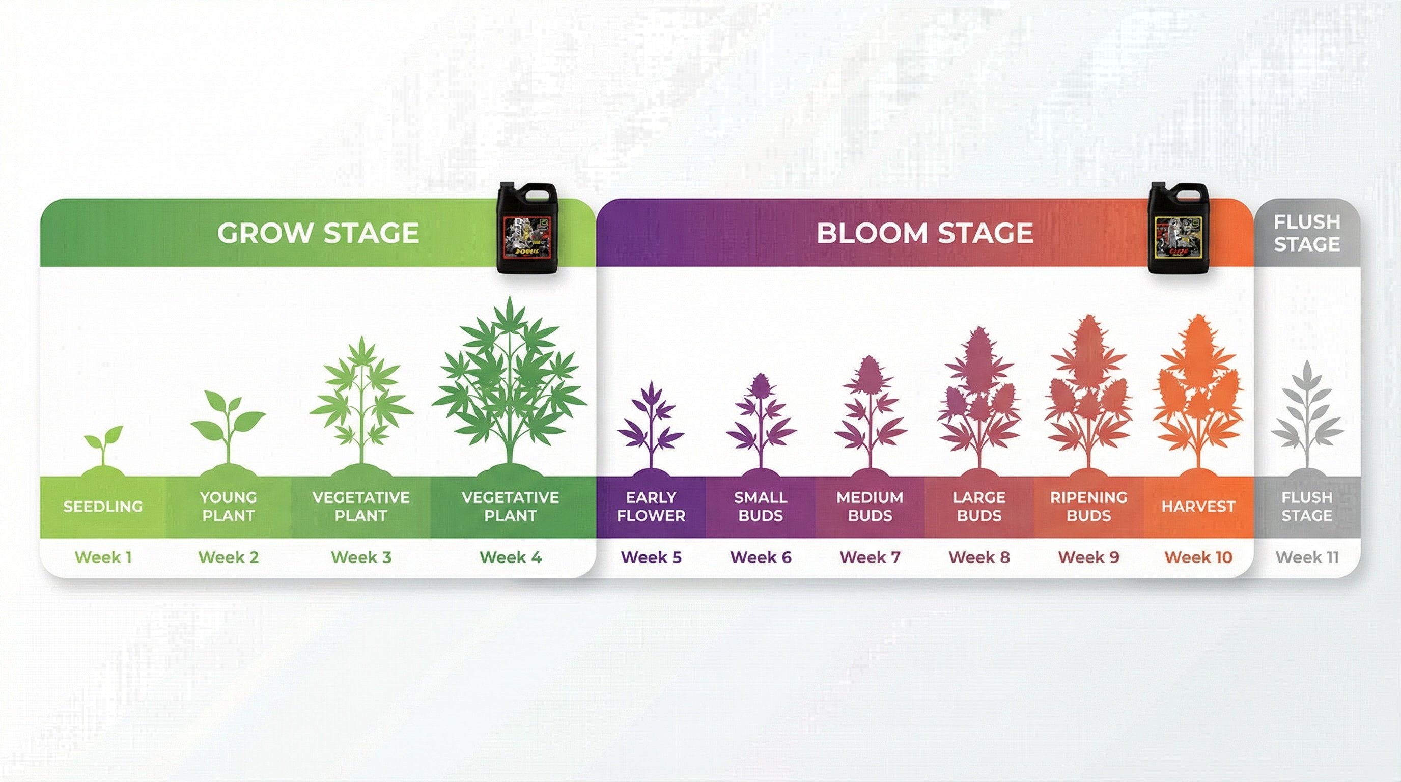 Timeline showing Bonnie usage during weeks 1-4 vegetative and Clyde usage during weeks 5-10 flowering