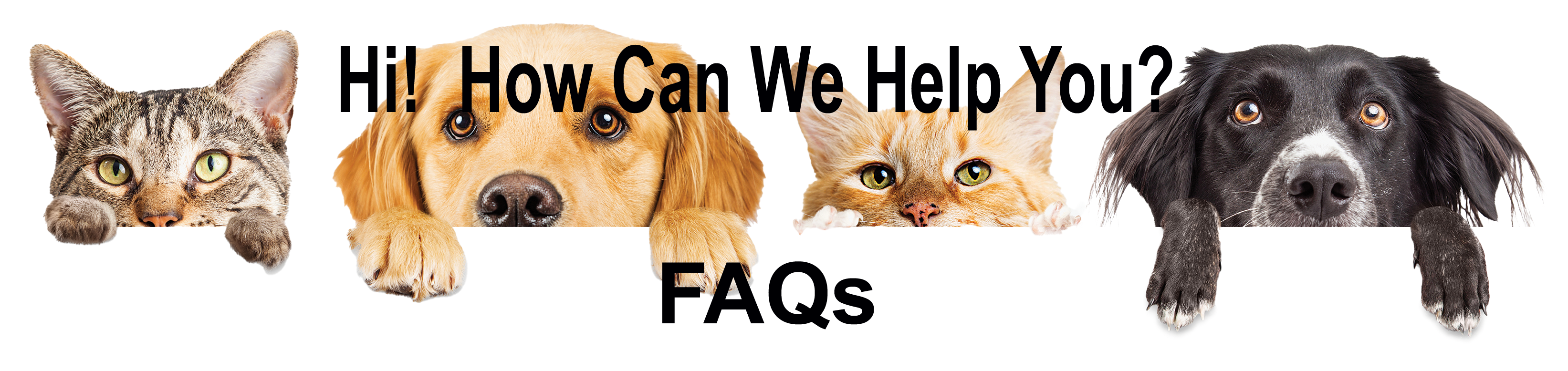 banner image