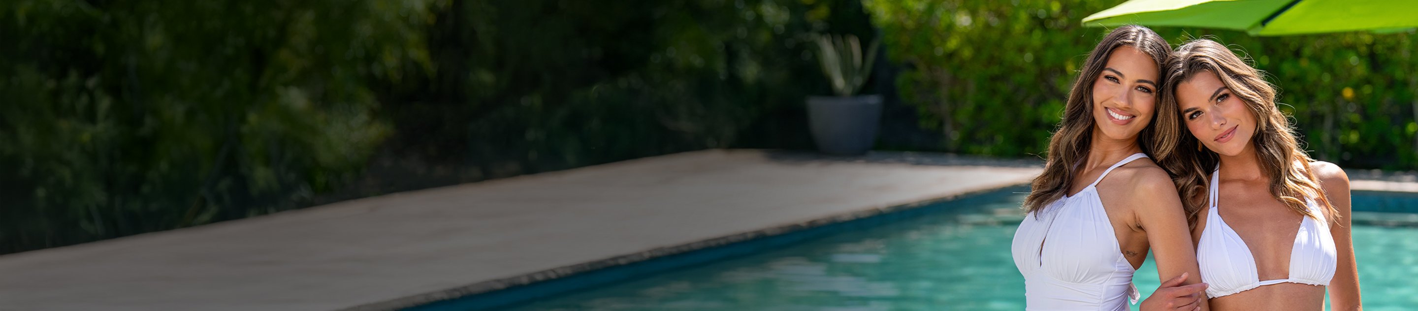 banner image