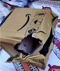 carrier package damaged