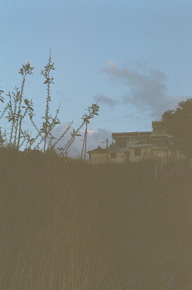 Example of an underexposed film scan appearing too dark with lost shadow detail
