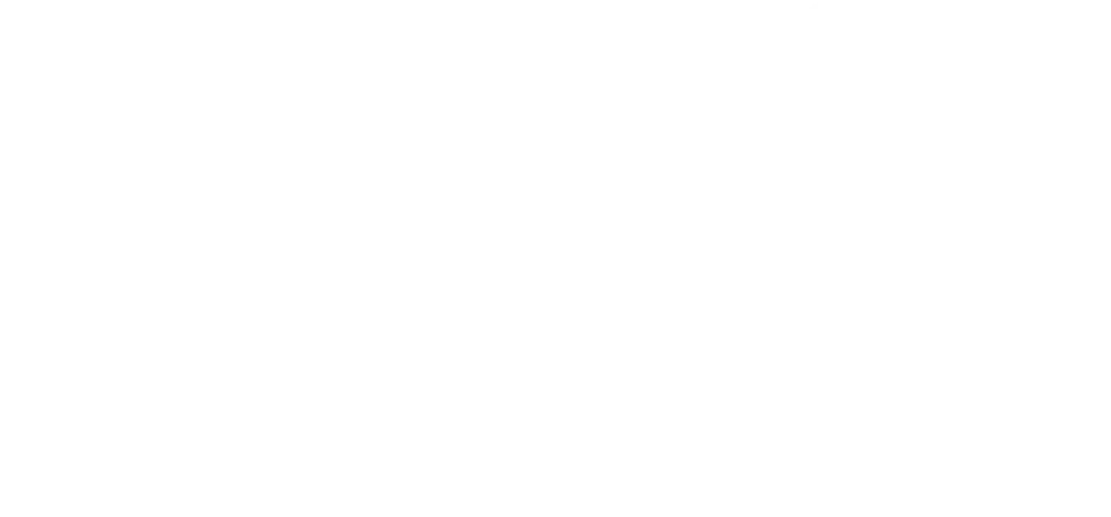 David Gilmour Logo