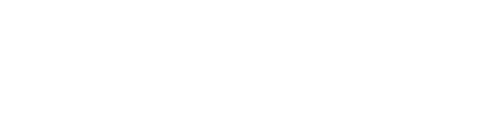 Tina Turner Logo