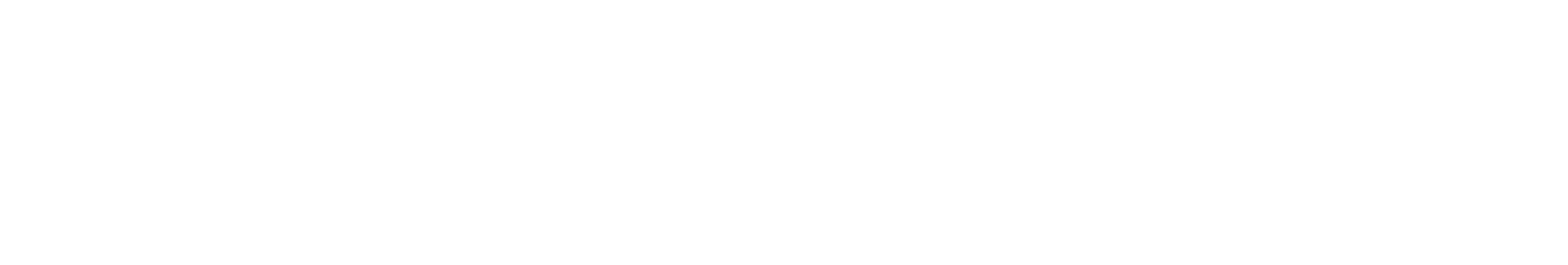 SPACETEK logo