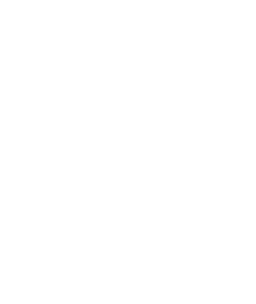 Magic Story logo