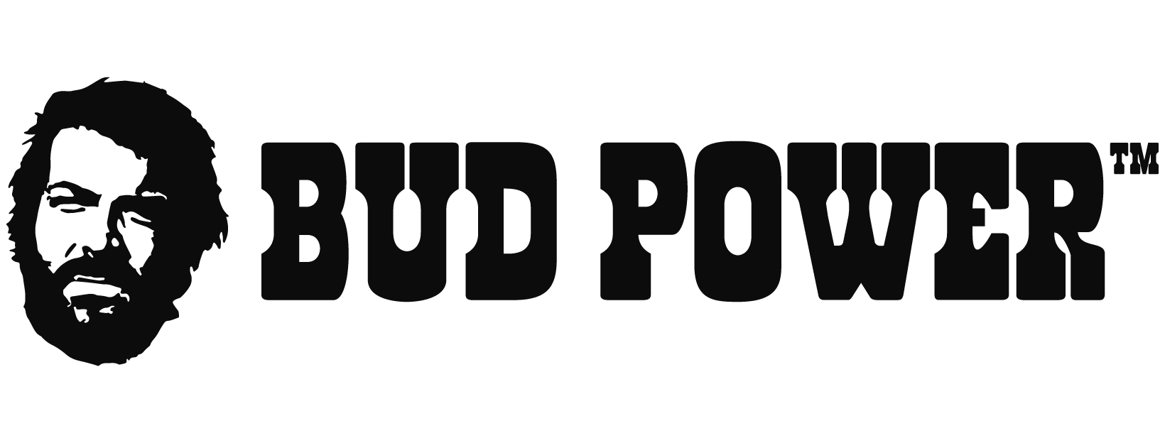 bud-power logo