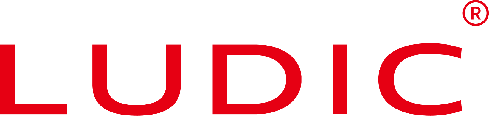 Ludic logo