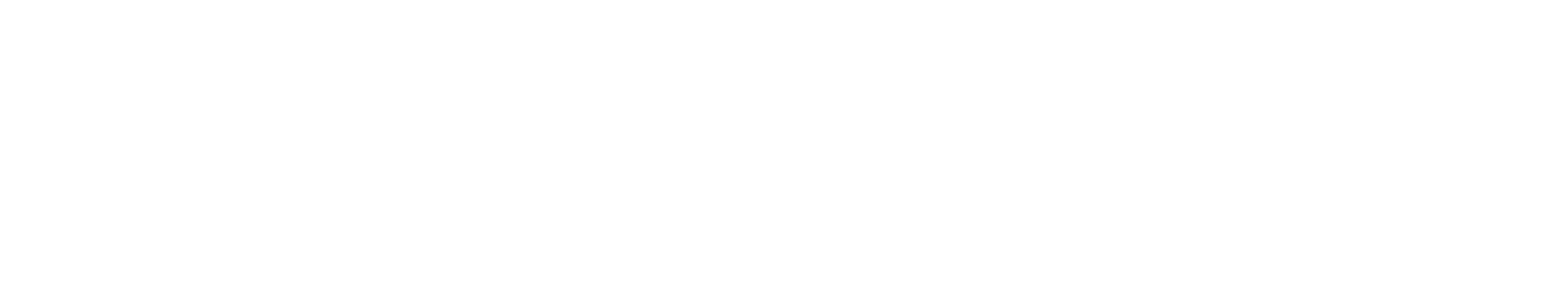 FansBRANDS® logo