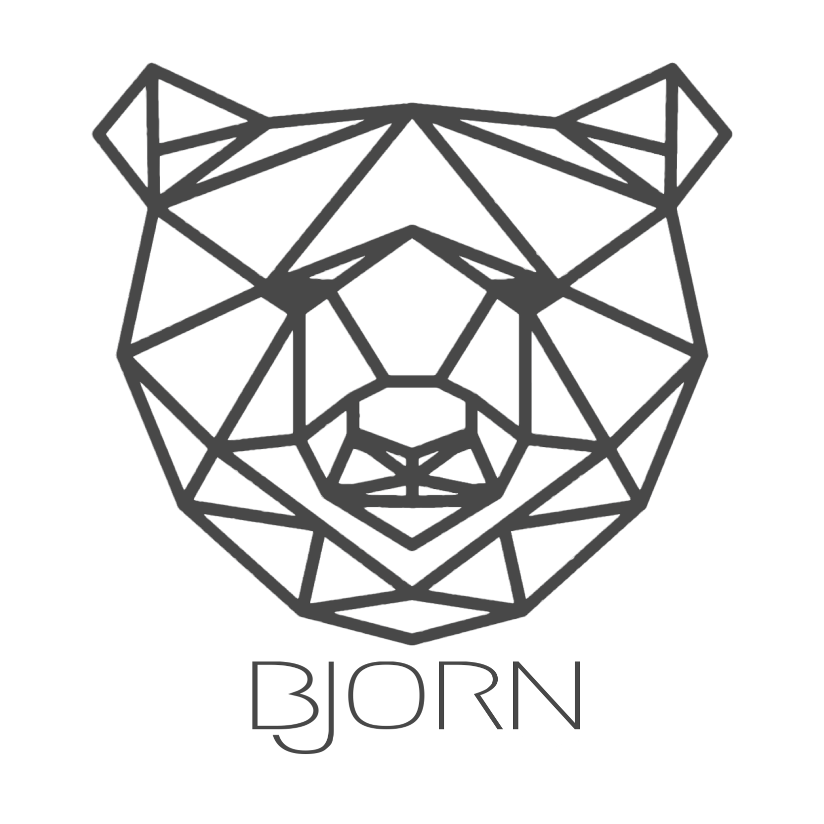 Björn NL logo