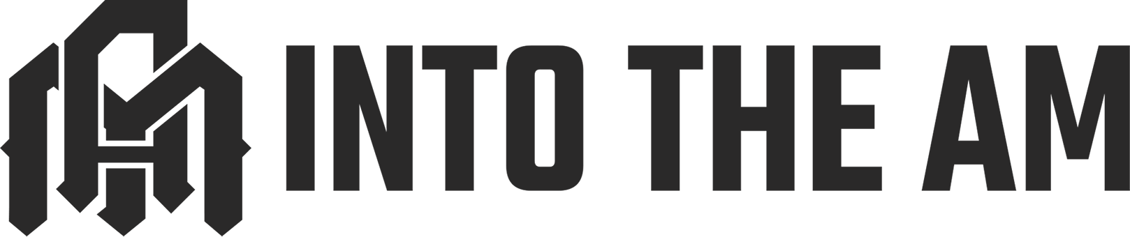 INTO THE AM logo