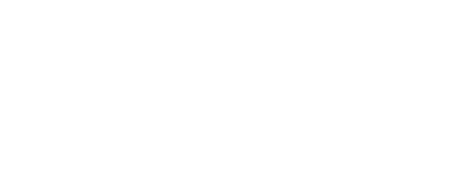 The Card Vault logo