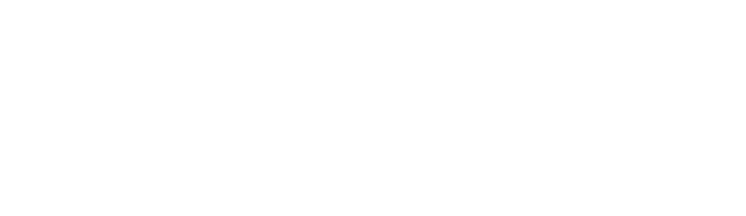 Gottex logo