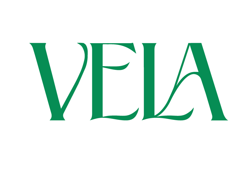 VELA logo