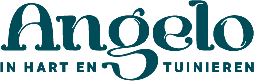 Angelo logo