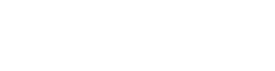 FE logo