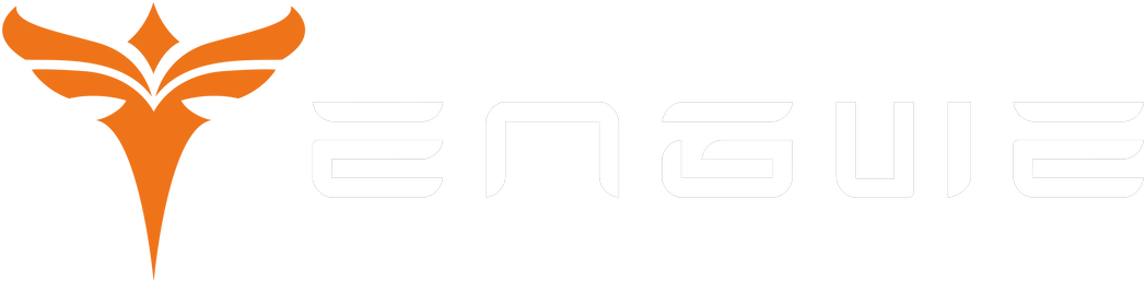 ENGWE logo