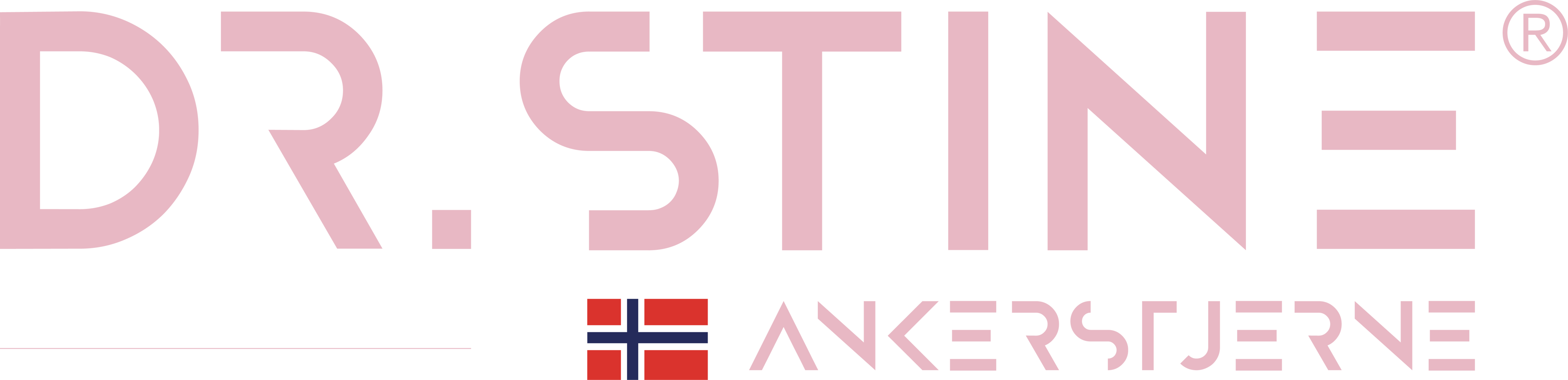 DrankerstjerneSE logo