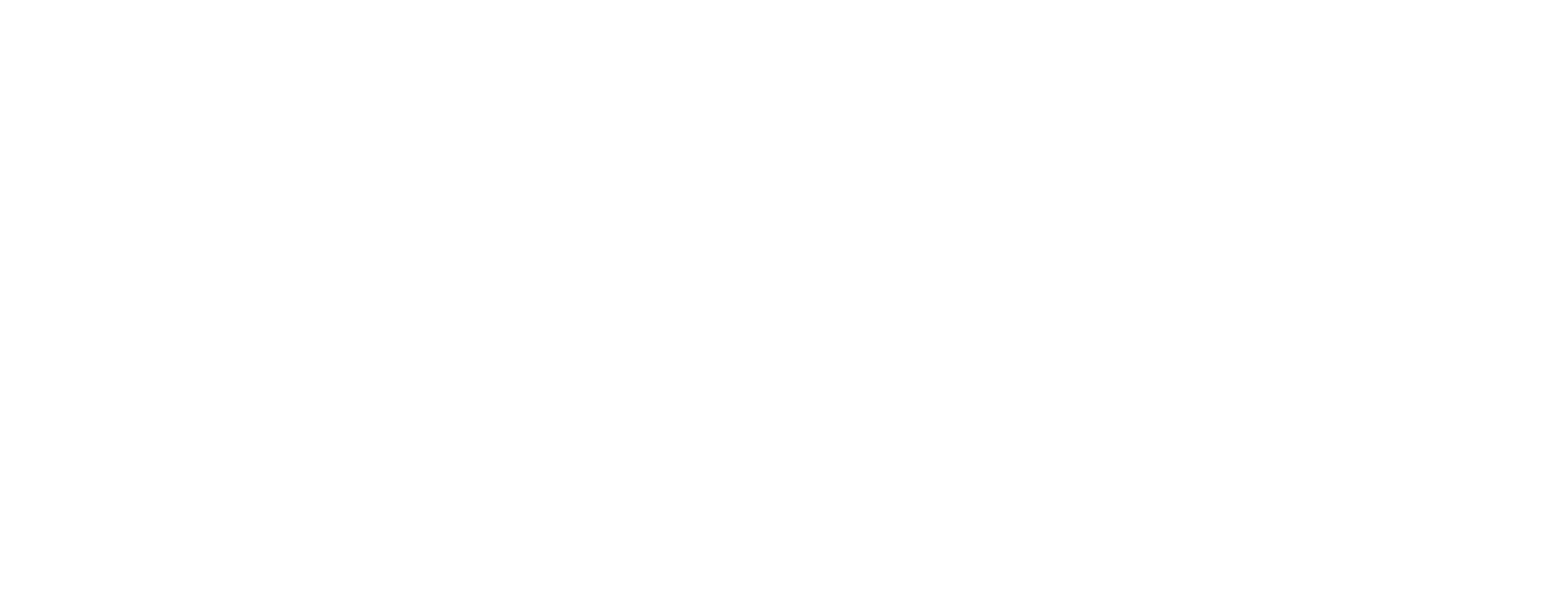 TOSOT logo