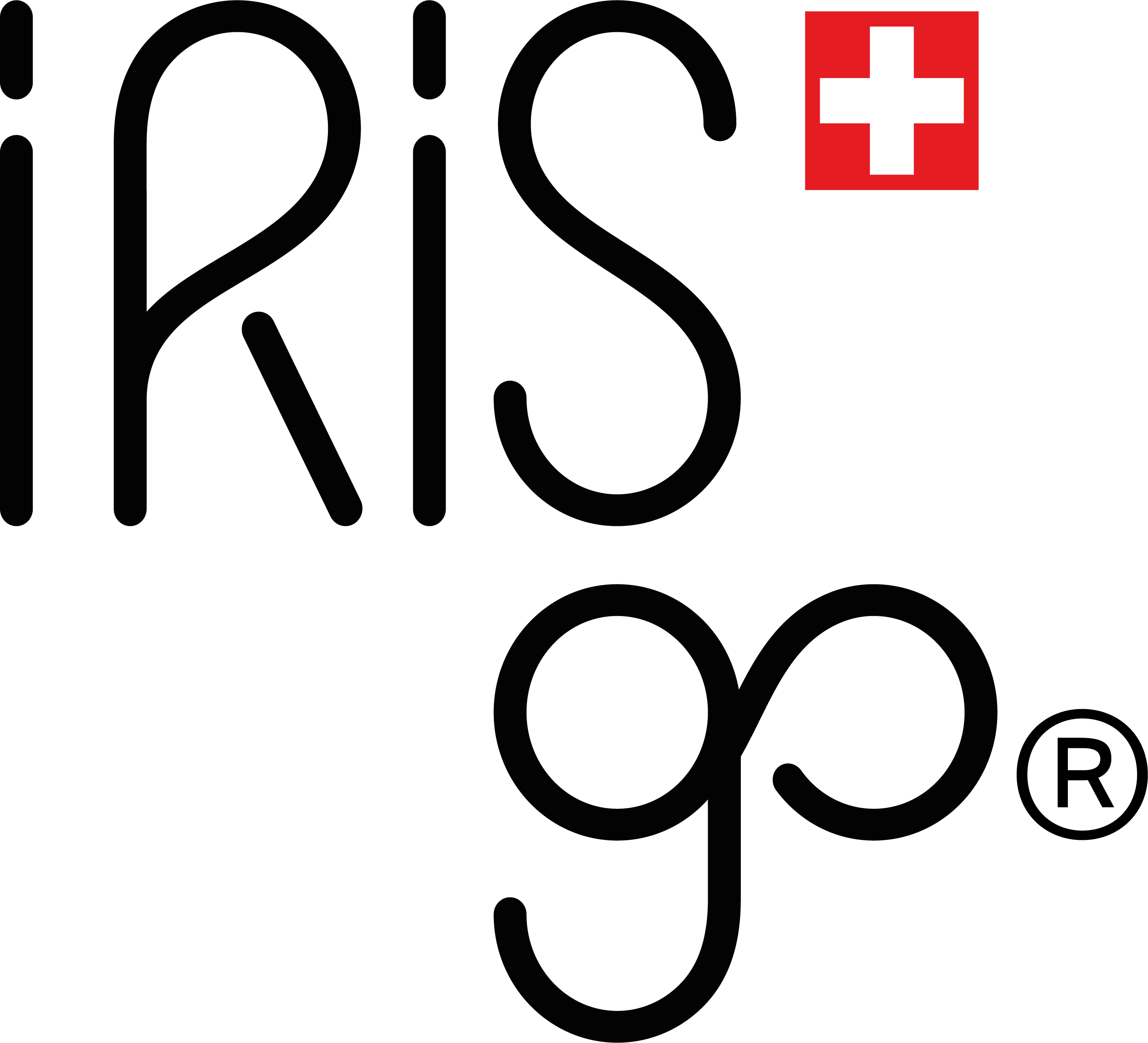 IRISgo logo
