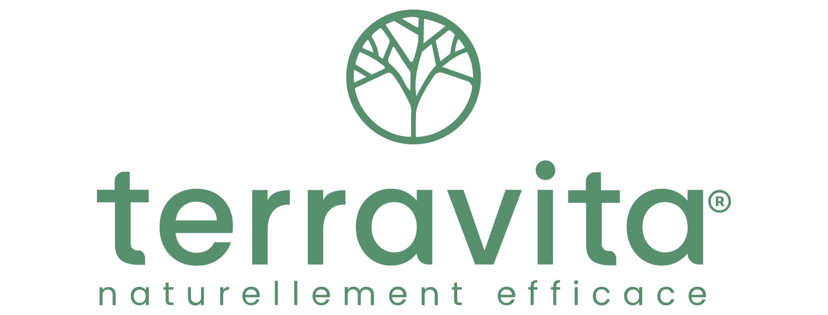 Terravita logo