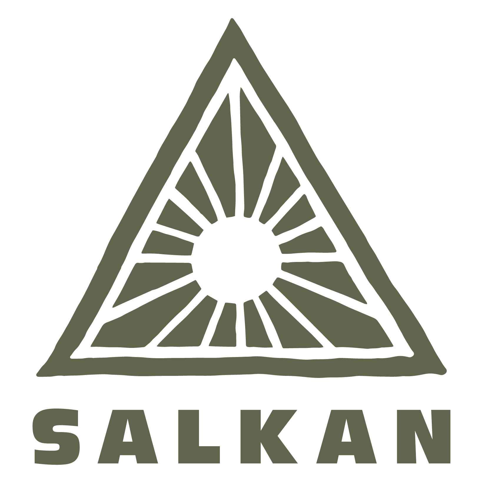 Salkan logo