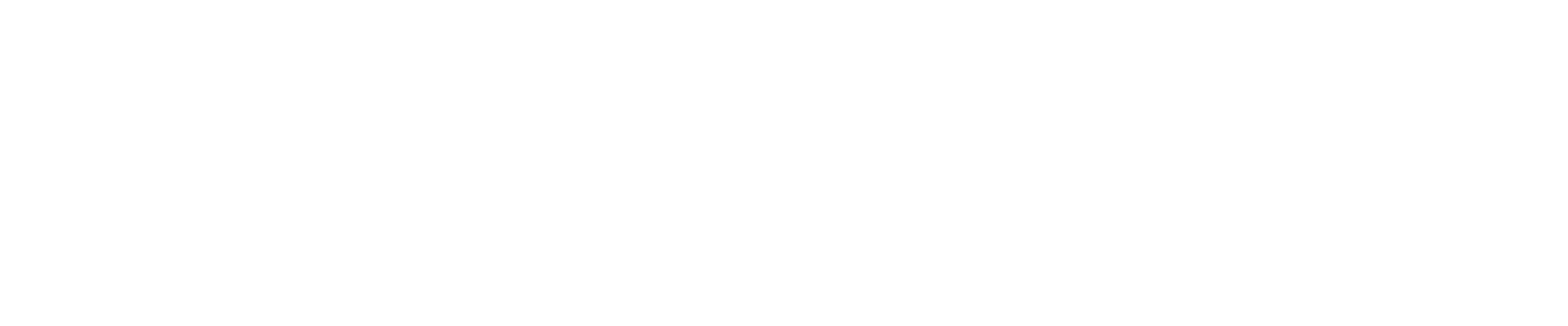 Sneakerzone logo