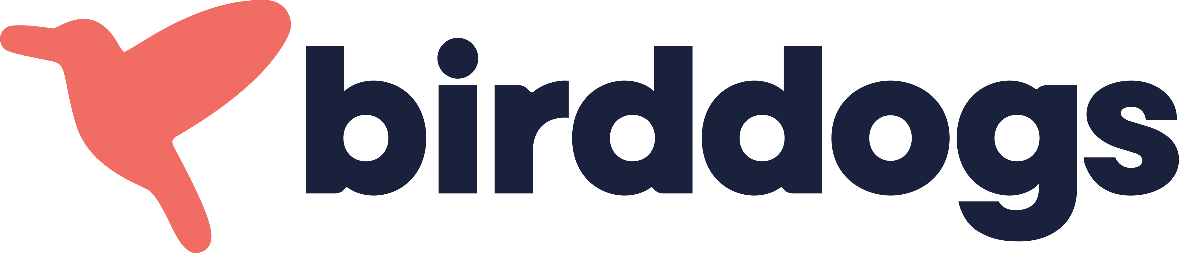 birddogs logo