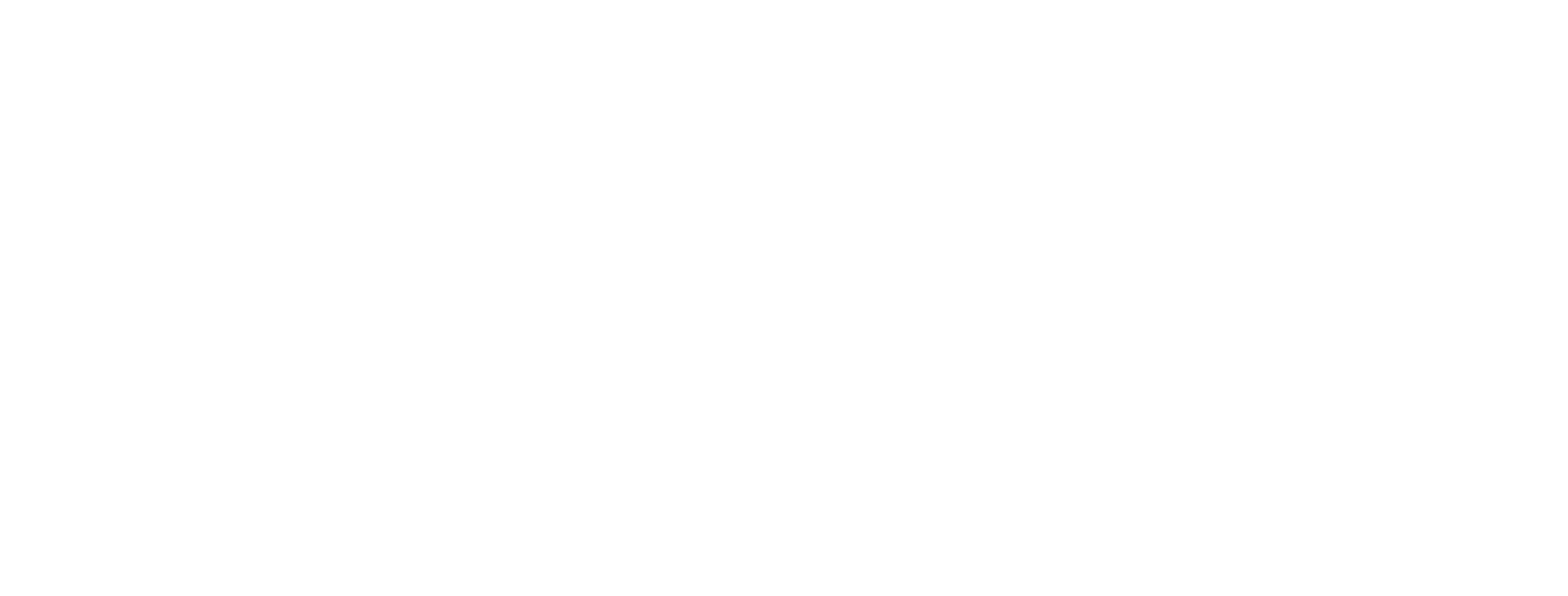 FOREVER 21 logo