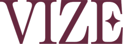 VIZE logo