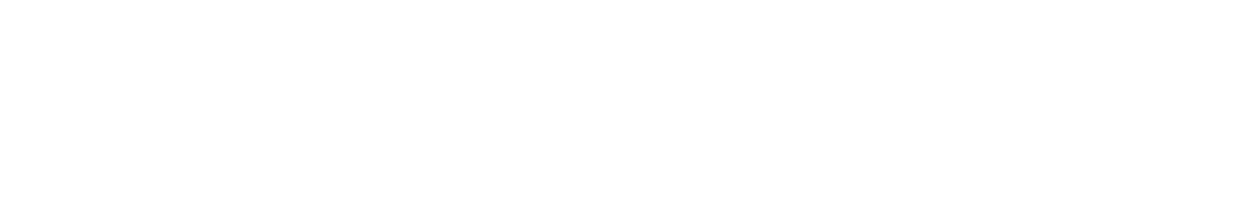 Di Bruno Bros. logo
