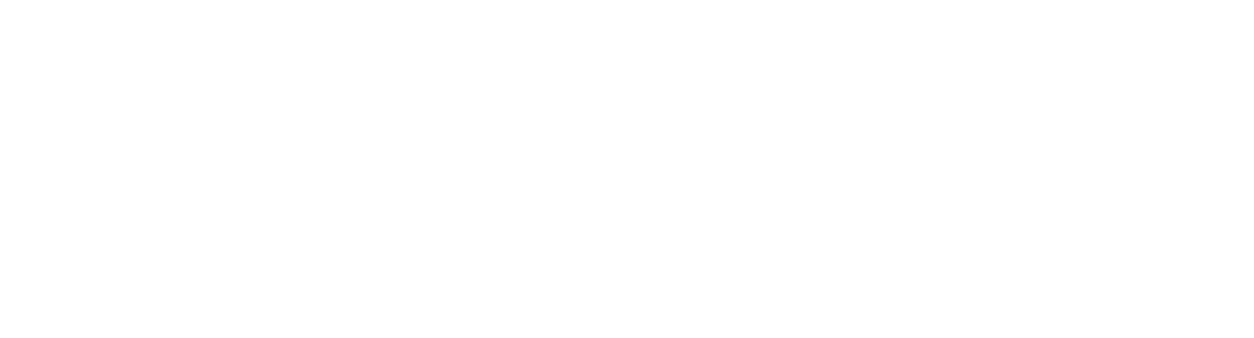 Techweise logo