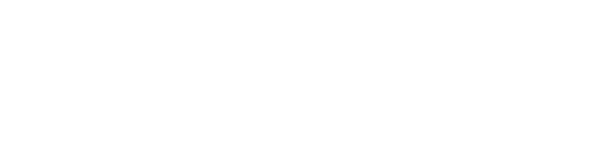 ADV logo