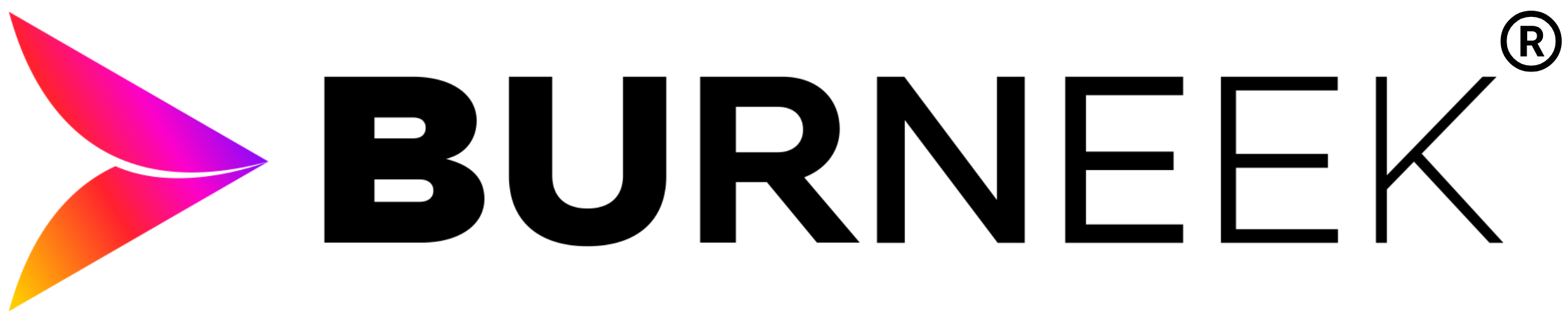 Burneek logo