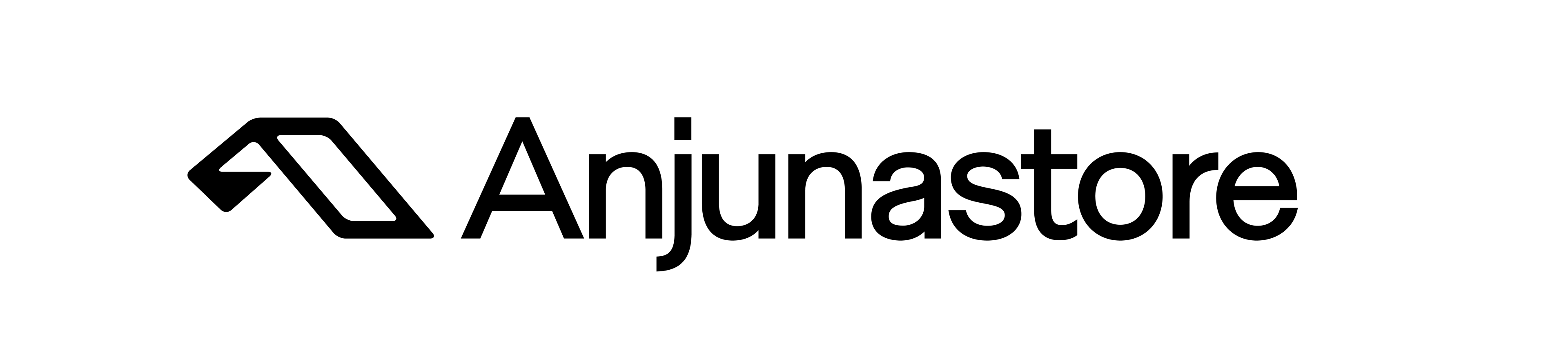 Anjuna Merch  logo