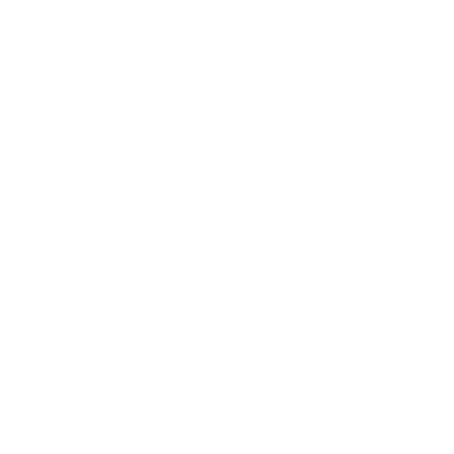 Noble Rebel logo