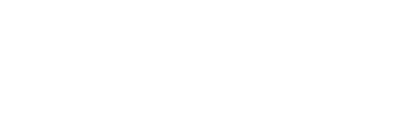 Flatline Van Co logo