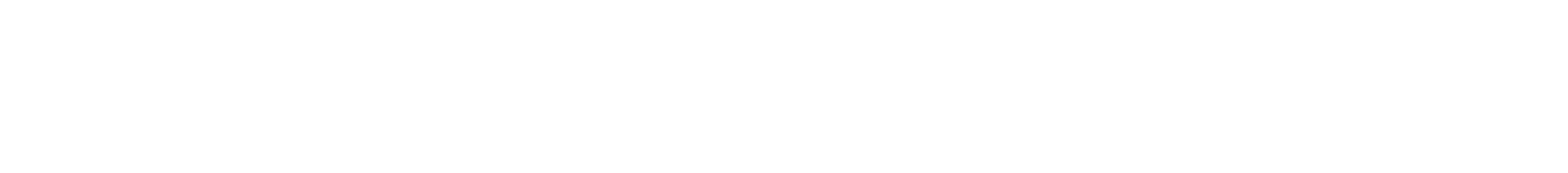SALT & STONE logo