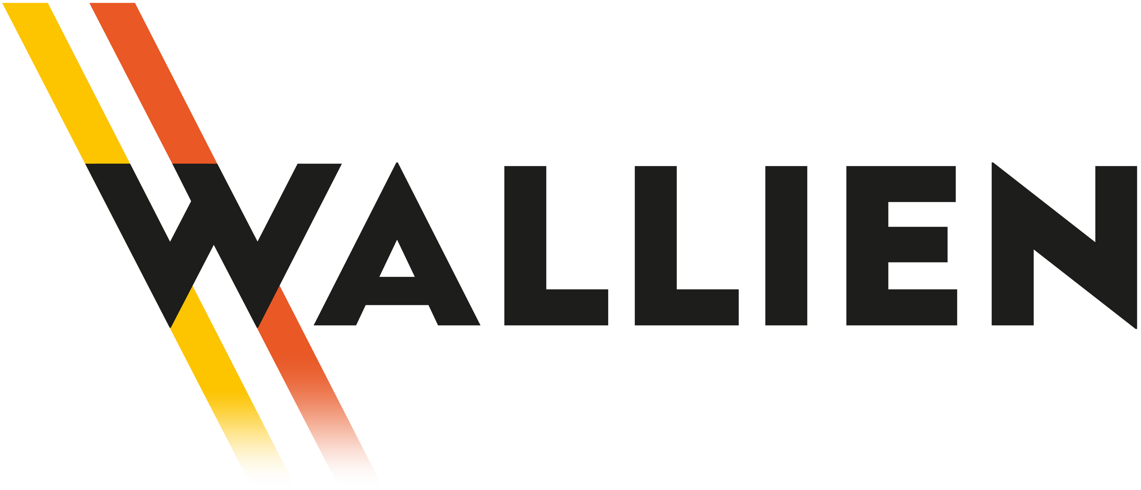 WALLIEN logo