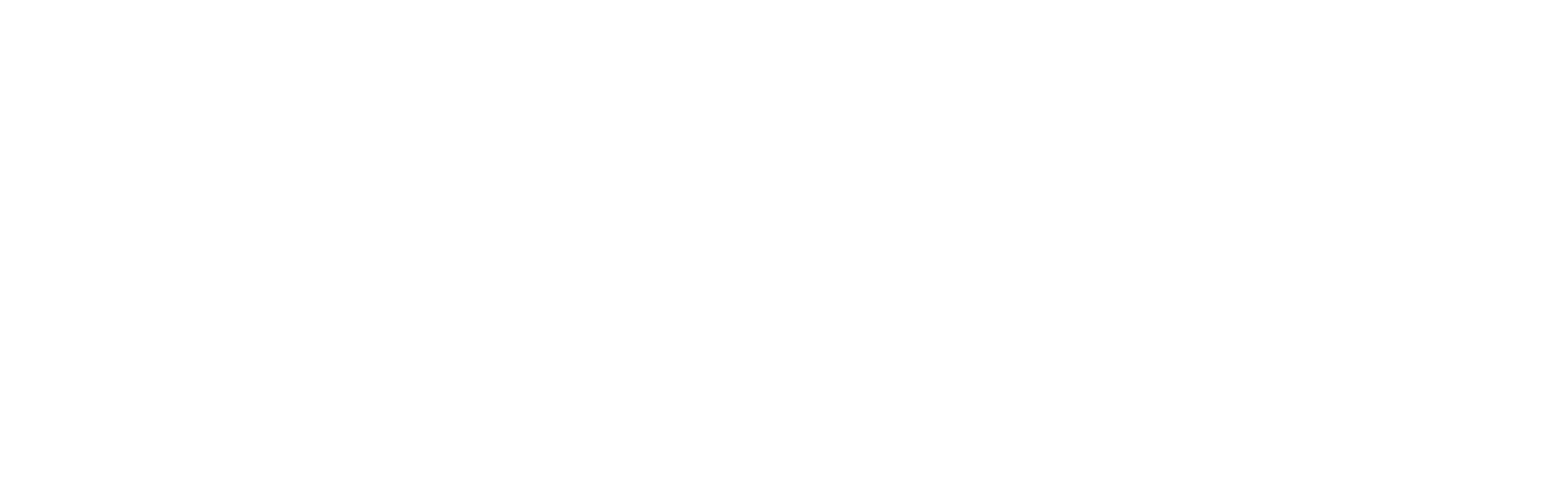 nobleorigins logo