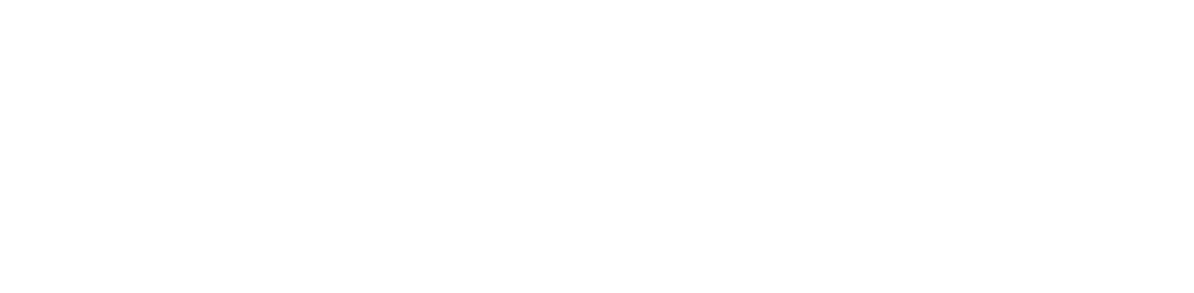 SPARTAN logo