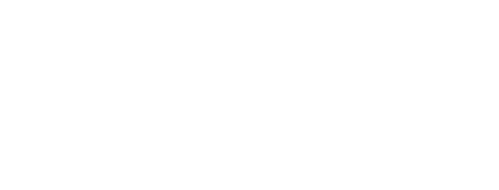 Dirtybird Help Center logo
