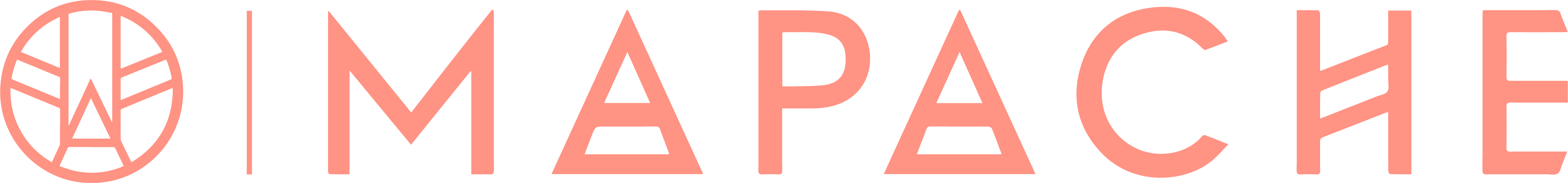 mapache-mexique logo