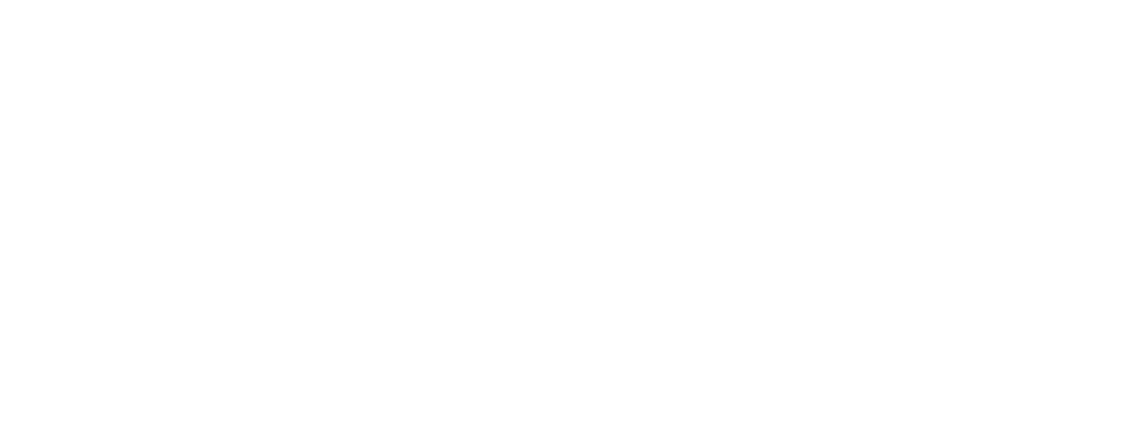 Showpo logo