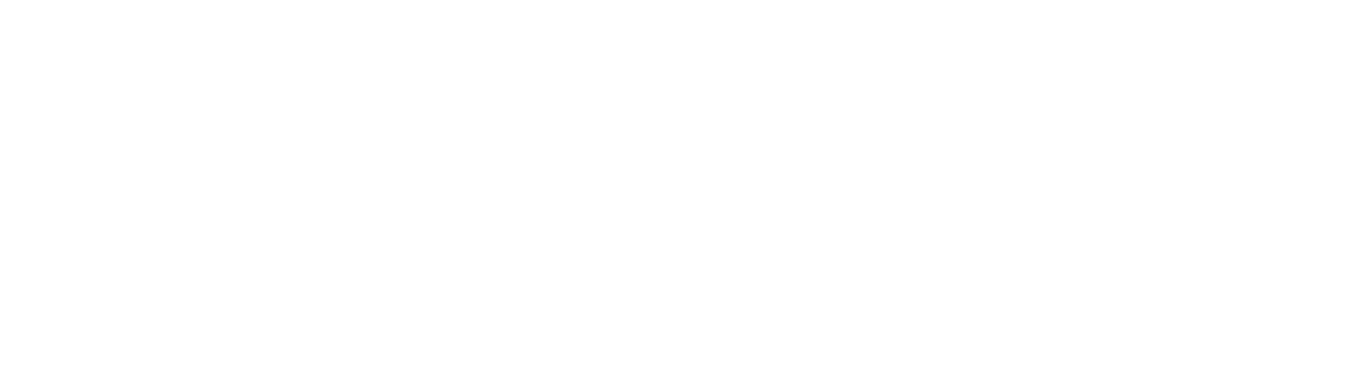 essxnyc logo