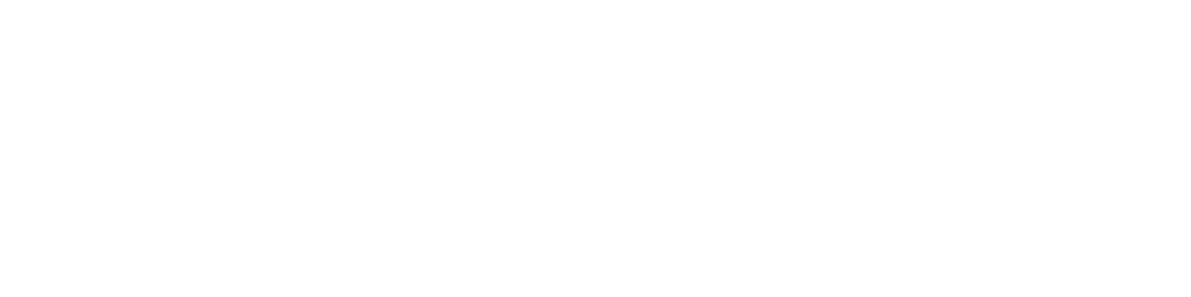Flytex logo