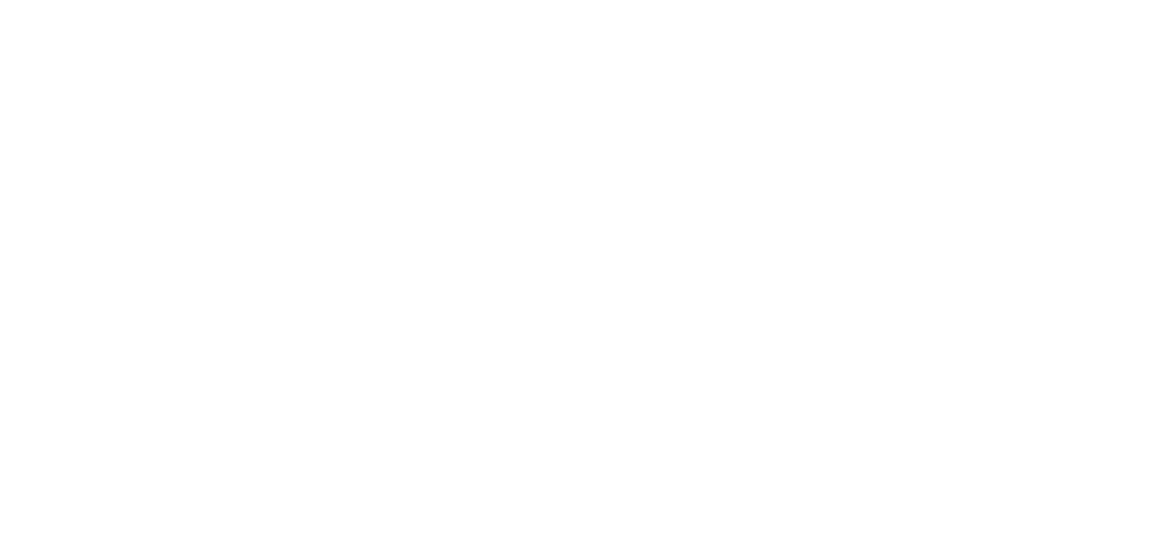 Pit Viper logo