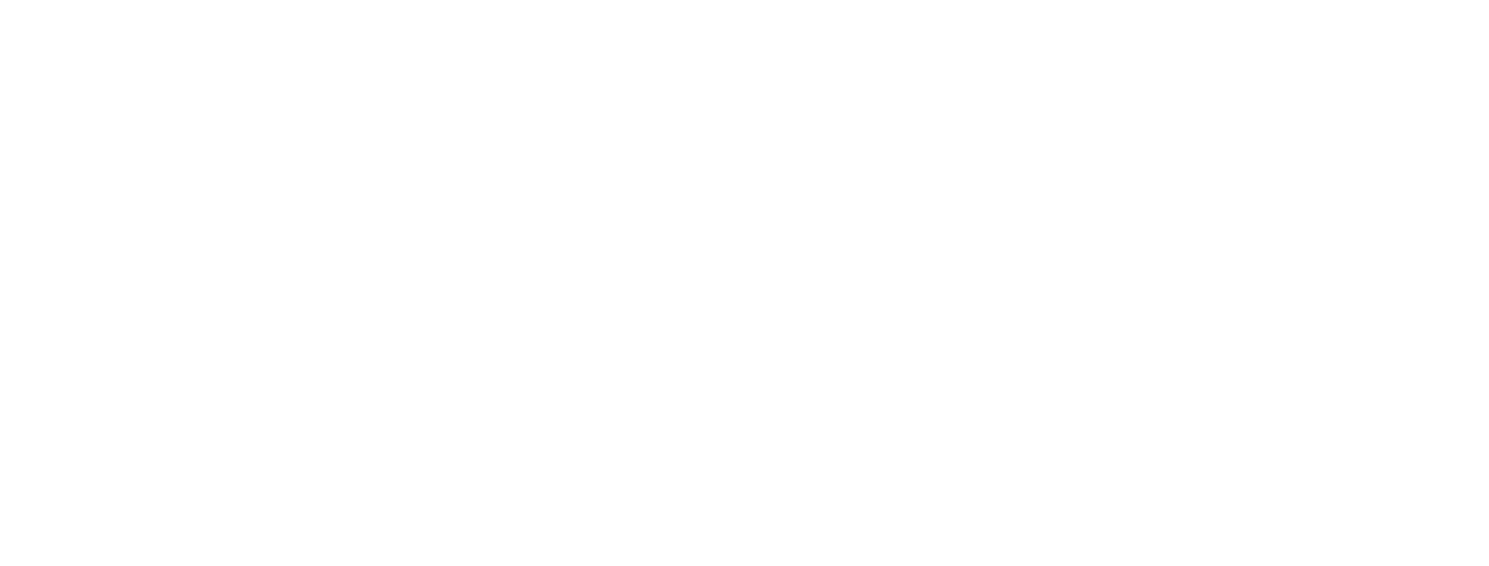 Brandson logo