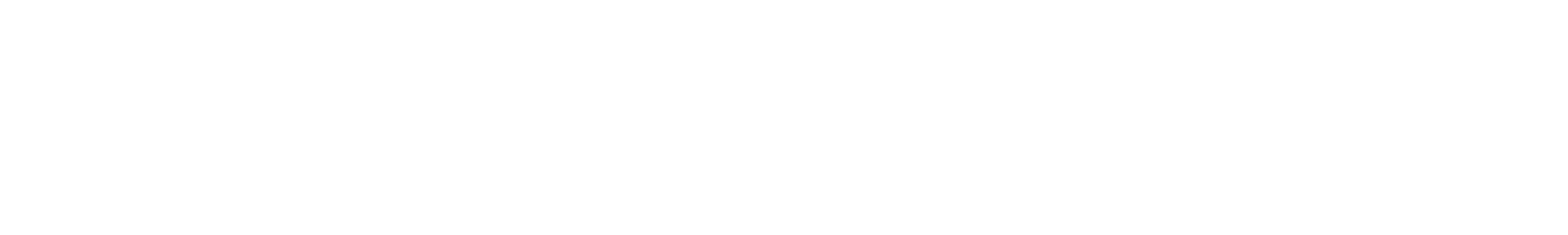 Northern Saunas logo