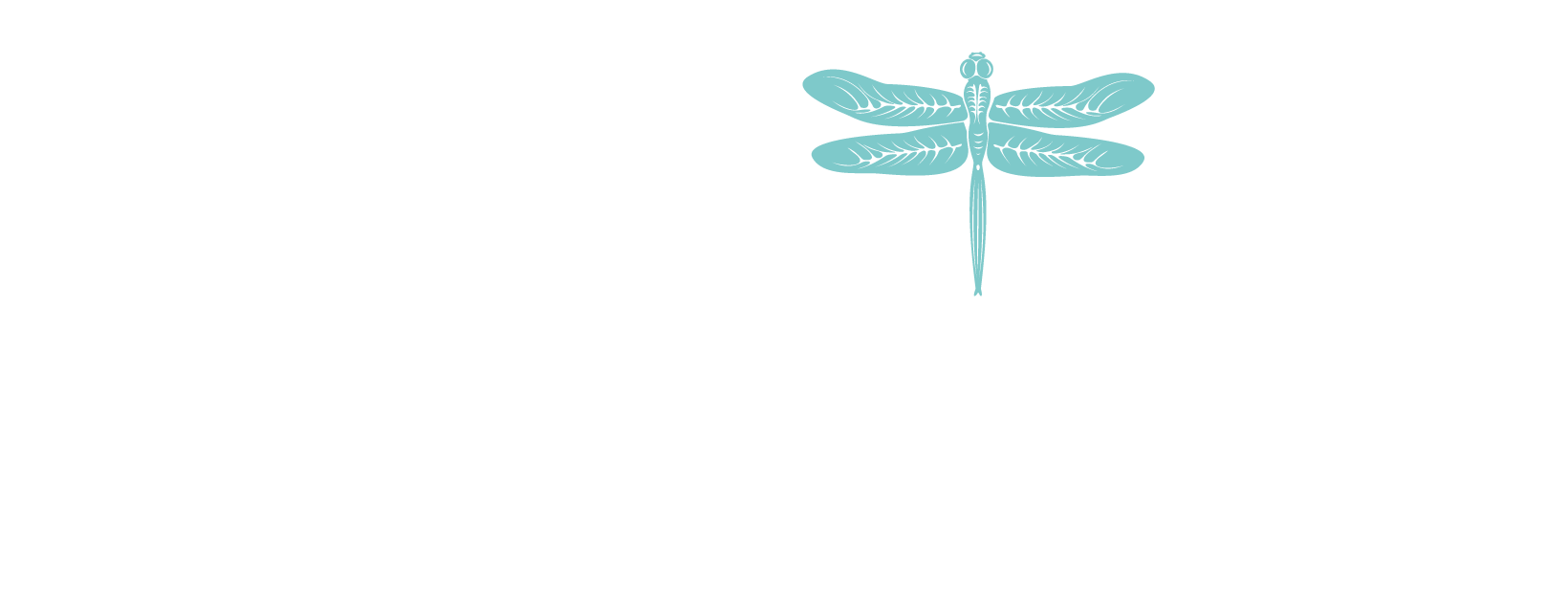 Dreampad logo