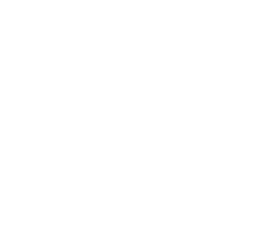Ruroc logo